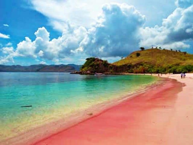 Pantai Pink